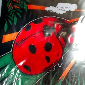 Small color of a ladybug